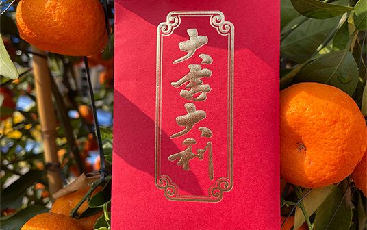 宏展打包帶廠家新春開工